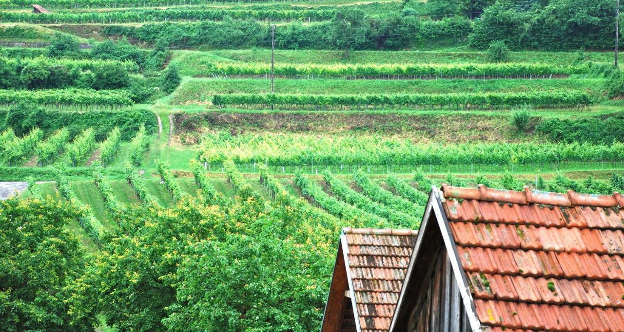 Weingut Jakob'S Ruhezeit Маутерн Екстериор снимка
